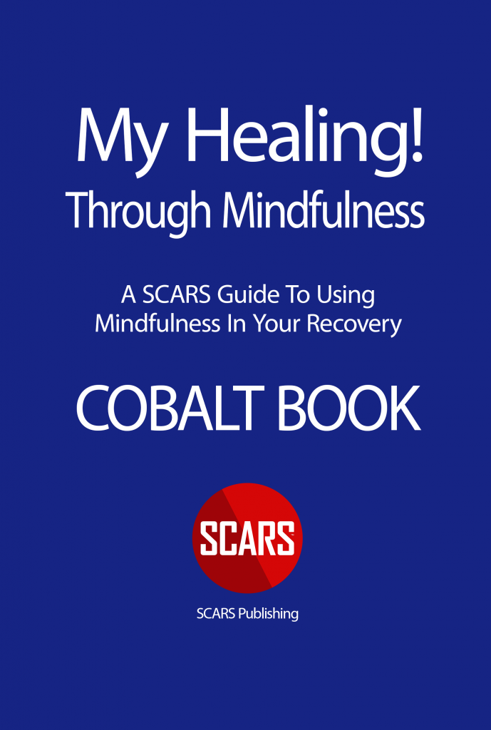 SCARS COBALT BOOK - A Scam Victim's Guide to Mindfulness - NEW 2024 available at shop.AgainstScams.org